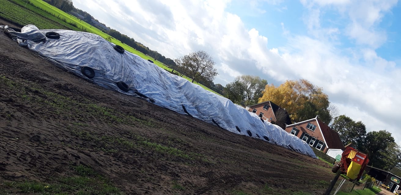 Fabrieksaardappelen afdekken Lensink Aardappelen Aalten